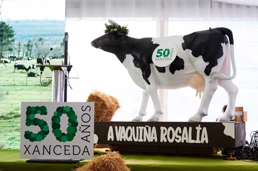 La vaca Rosalía en el 50 Aniversario de Casa Grande de Xanceda